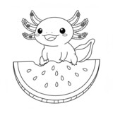 A kawaii axolotl on a giant watermelon slice for coloring.