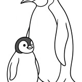 A fluffy penguin chick with its mom