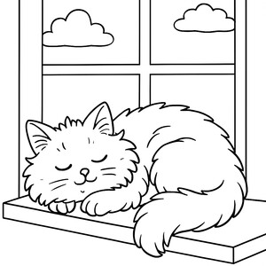 A sleepy cat curled up in the sun